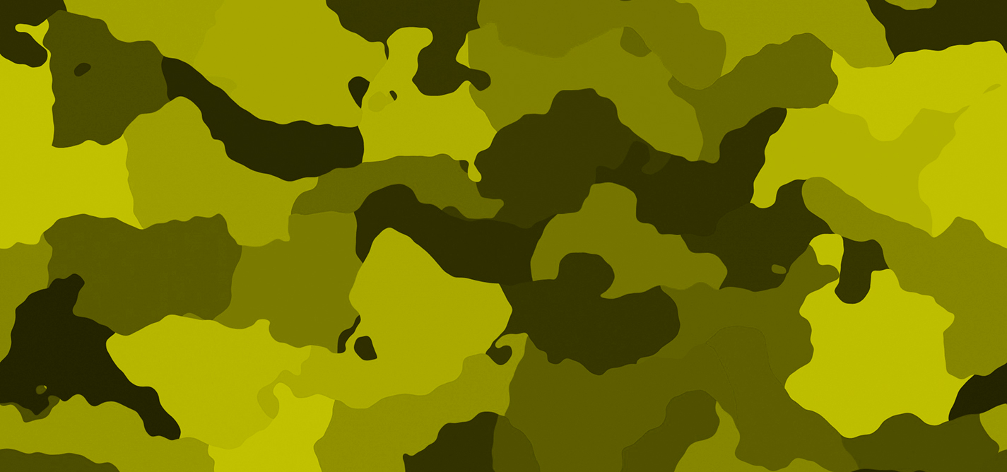 Temat e mëdha zgjedhore: Ushtria