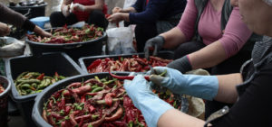 Who’s representing rural women?