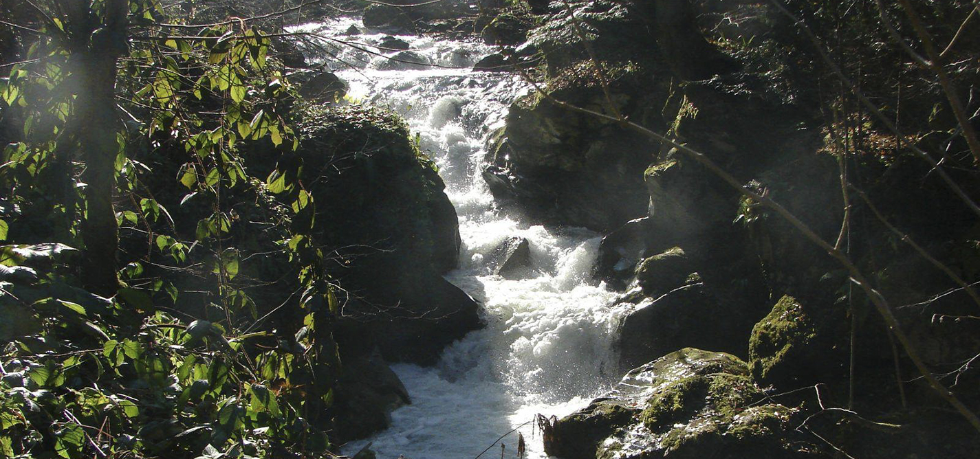 Odbrana rijeka u Bosni i Hercegovini