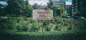 Health system under the microscope