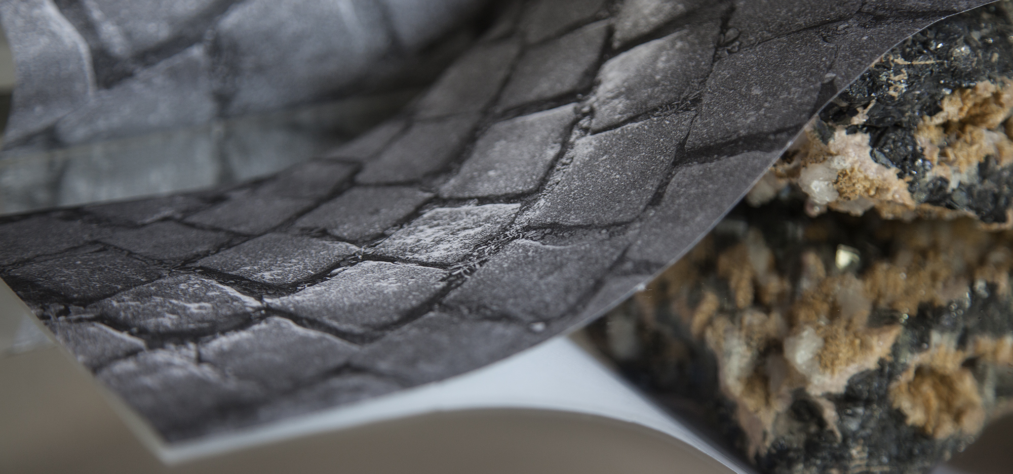 Ogledalce, ogledalce: Grešnik i Vernik