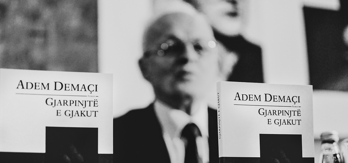 Shkëlzen Gashi: Very few people dared to meet Demaçi