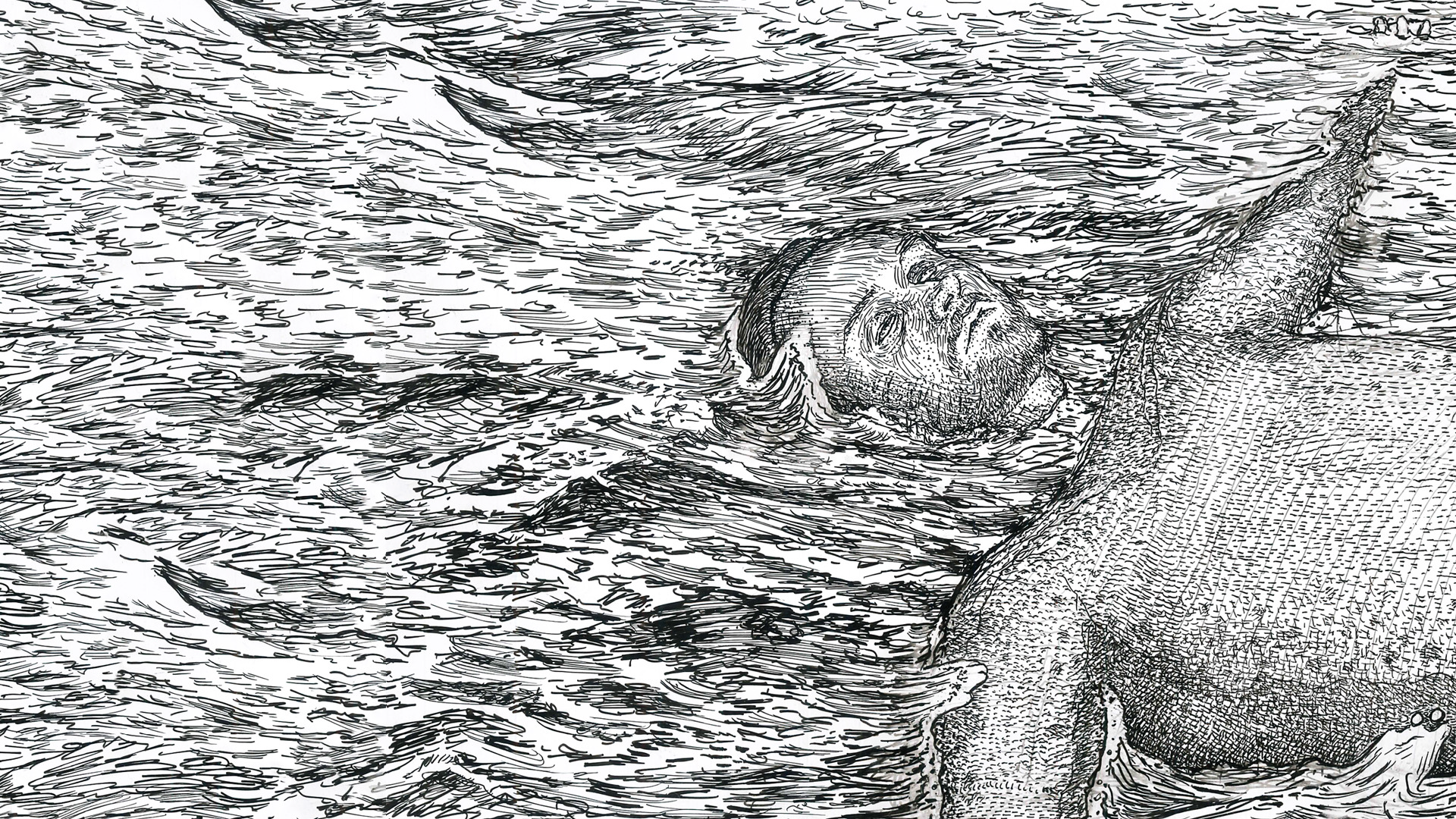 Nightswimming with Rumi