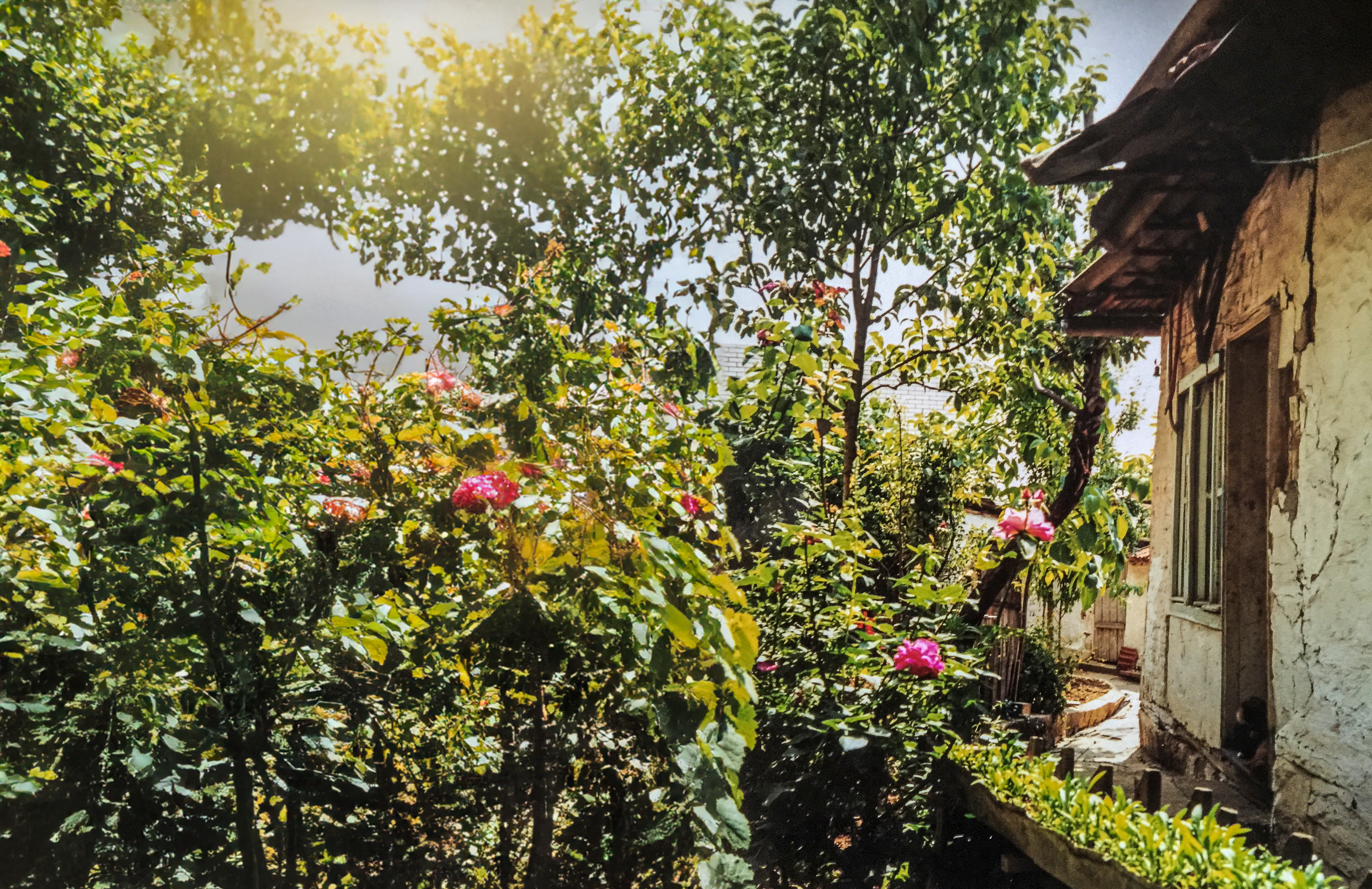 Žive vani, ali srcem su na Kosovu