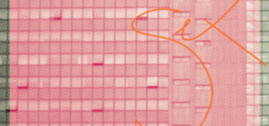 (Nuk) sillet gjithçka në botë kah seksi