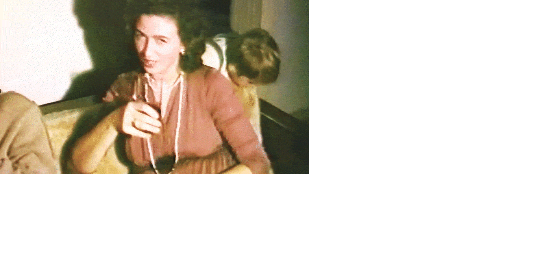 Pogled na Domaću konkurenciju Dokufesta