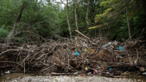 The nature we (don’t) love