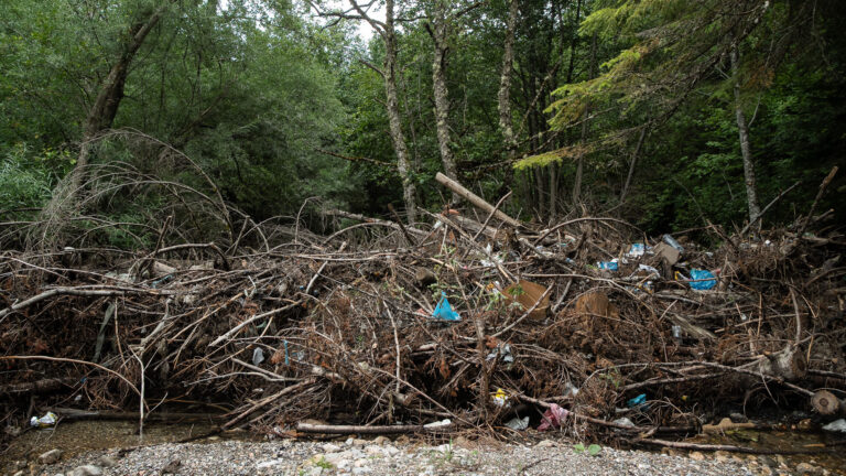 Natyrën që (nuk) e duam