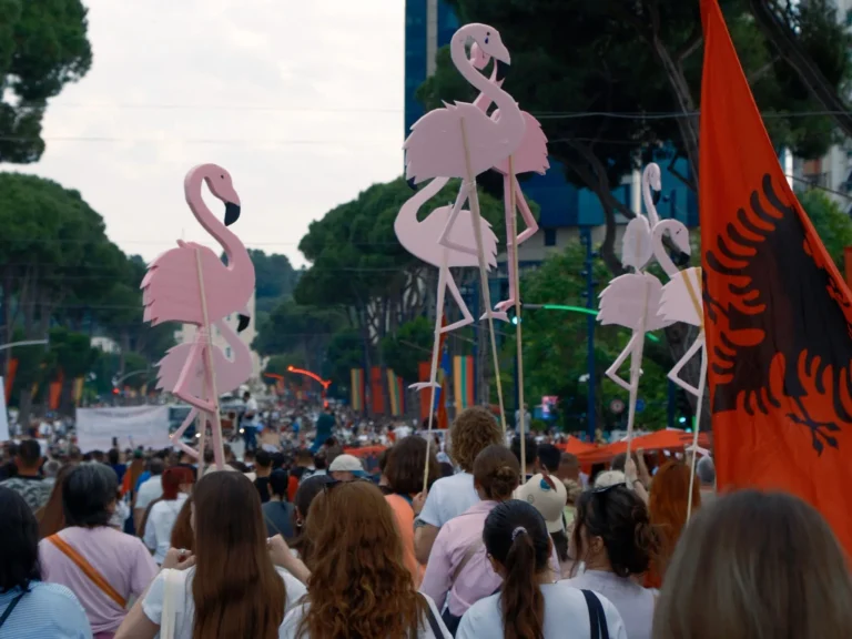 Pse “Revolucioni i flamingove” po e trazon Shqipërinë?